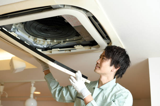 Best Dryer Vent Cleaning Services  in Chatfield, MN