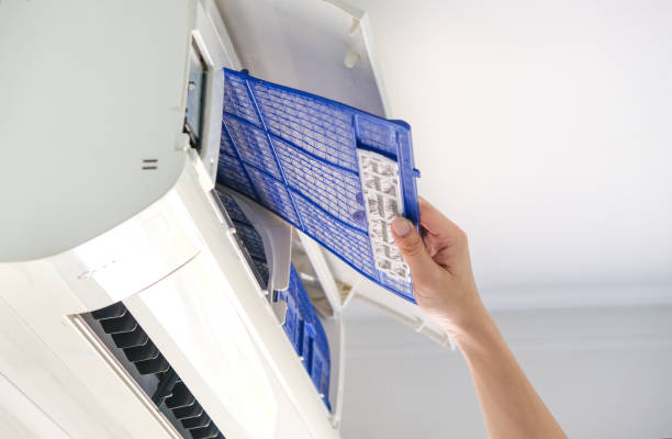 Best Dryer Vent Cleaning Services  in Chatfield, MN